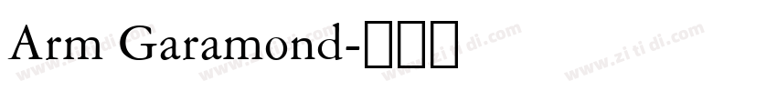 Arm Garamond字体转换